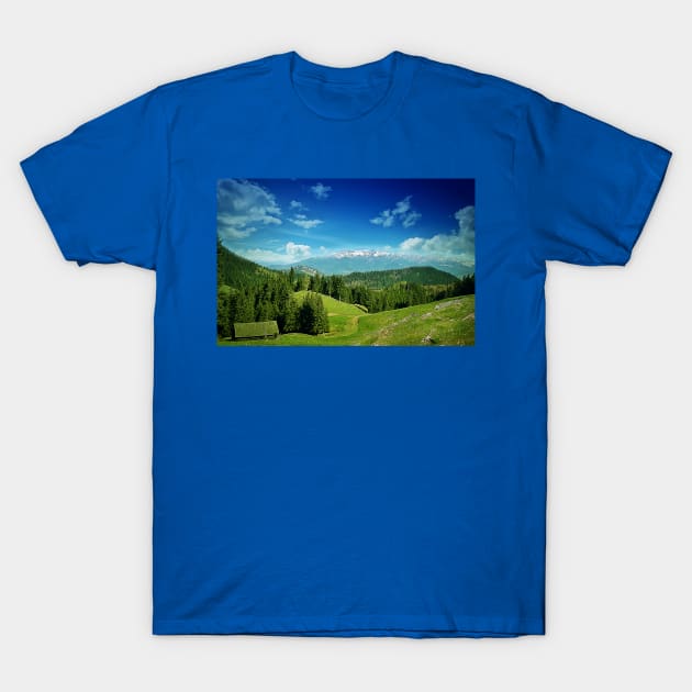 mount valley T-Shirt by psychoshadow